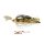 Fox Rage Bladed Jig 7gr Pike Szoknyás Jig