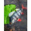 Fox Rage Ultra Realistic Perch Replicant Sügér Plasztik Csali 14cm 52gr