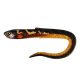 Fox Rage Slick Eel Burbot Plasztik Csali 21cm  20db