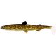 WESTIN HypoTeez ST 15cm 30g Natural Pike Box w. 20pcs Plasztik műcsali