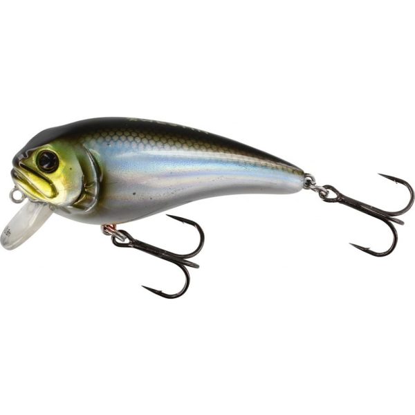 WESTIN FatBite 5,5 cm 8 g Floating Blueback Herring Wobbler