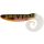 WESTIN CurlTeez Curltail 8,5cm 6g Bling Perch 2pcs Plasztik műcsali