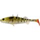 WESTIN Stanley the Stickleback Shadtail 7,5cm 4g Pearl Stickleback Box w.  Plasztik műcsali