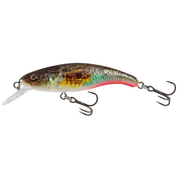 Salmo Slick Stick Supernatural Gobie 6cm Wobbler