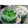 Sonubaits Bandum Wafter Marine Green 10mm Wafter 40gr
