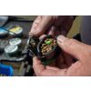 Sonubaits Bandum Sinker Marine Green 10mm Süllyedő Csali 60gr