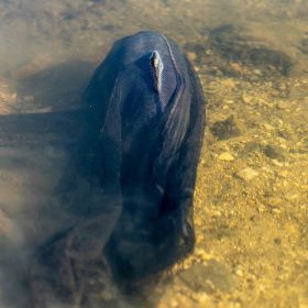 Nash Air Force 46inch Sekély Bojlis Merítőháló