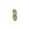 Nash Pellet Hair Stop Pellet Stopper 20db
