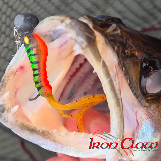Iron Claw megérkezett a TackleBaithez – Új márka a pergetőknek