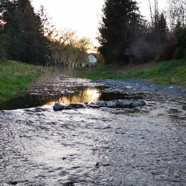 Lassan vége a domolykó titalomnak, pár tipp a pecához...