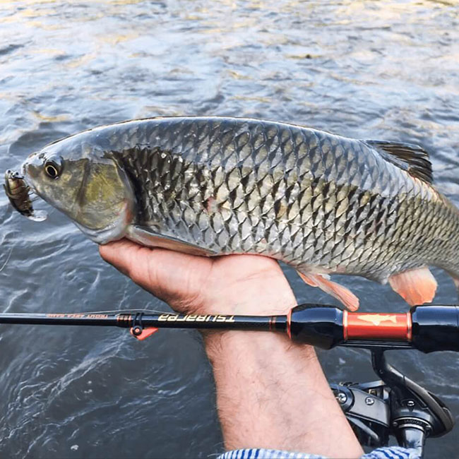 Mit kell tudni a Sakura Tsubarea Trout Area Game pergető botról?